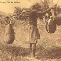 La récolte du vin de palme : un homme avec trois gourdes remplies de vin de palme.